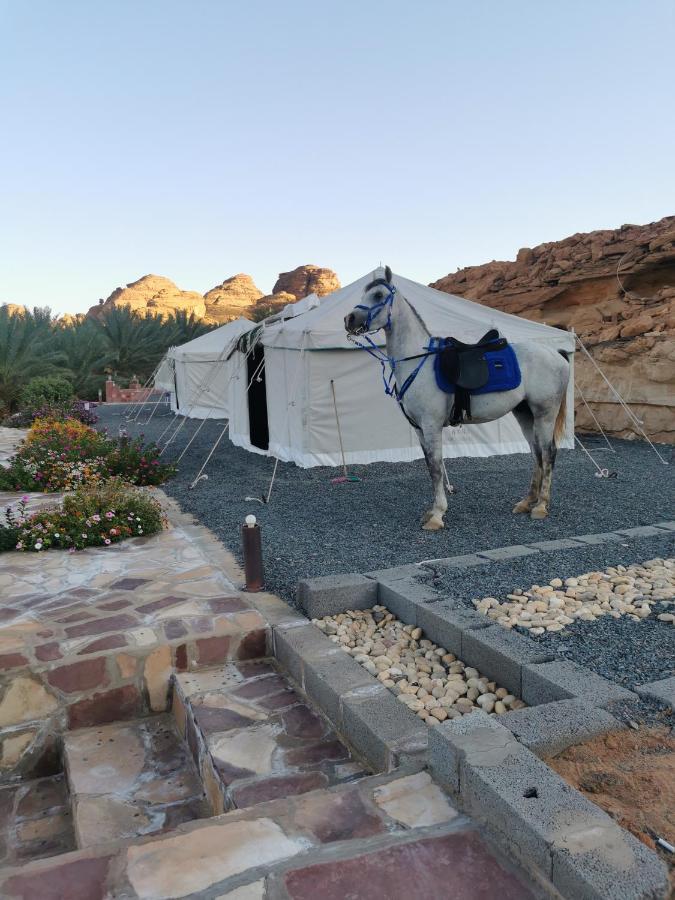 Rural Tents Naseem الخيمةالريفيةalouzaib Al Ula Exteriér fotografie